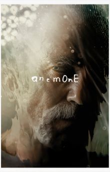 Anemone